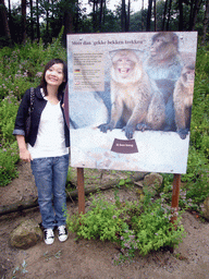 Miaomiao at an explanation on the Barbary Macaques in the Apenheul zoo