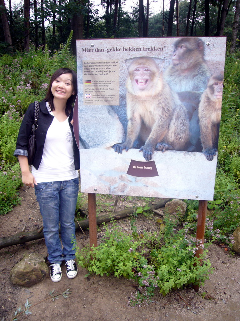 Miaomiao at an explanation on the Barbary Macaques in the Apenheul zoo