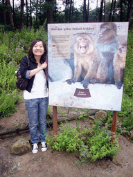 Miaomiao at an explanation on the Barbary Macaques in the Apenheul zoo