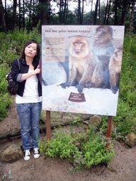 Miaomiao at an explanation on the Barbary Macaques in the Apenheul zoo