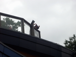 Miaomiao on top of the Bonobo house in the Apenheul zoo