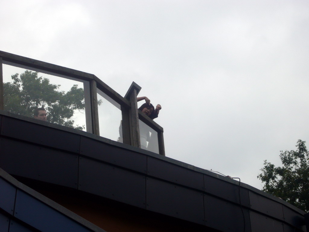 Miaomiao on top of the Bonobo house in the Apenheul zoo