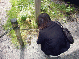 Miaomiao with Squirrel monkey in the Apenheul zoo