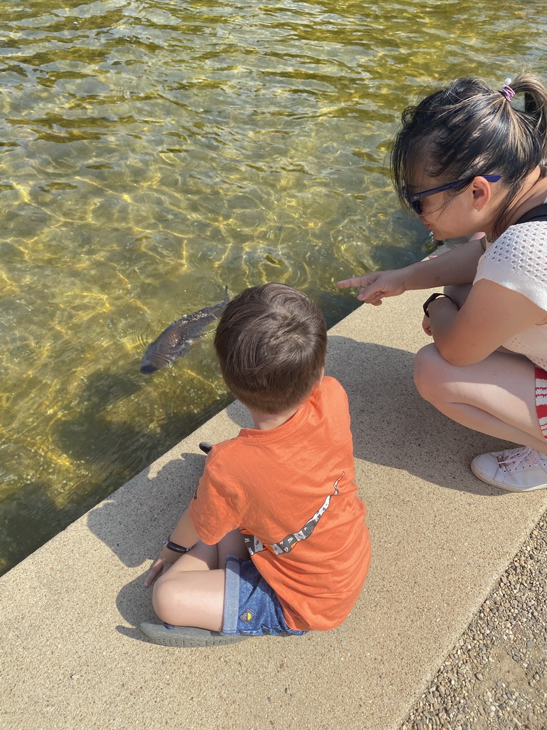 Miaomiao and Max with a Carp in the pond with the fountain at the north side of the Palace Garden of Het Loo Palace