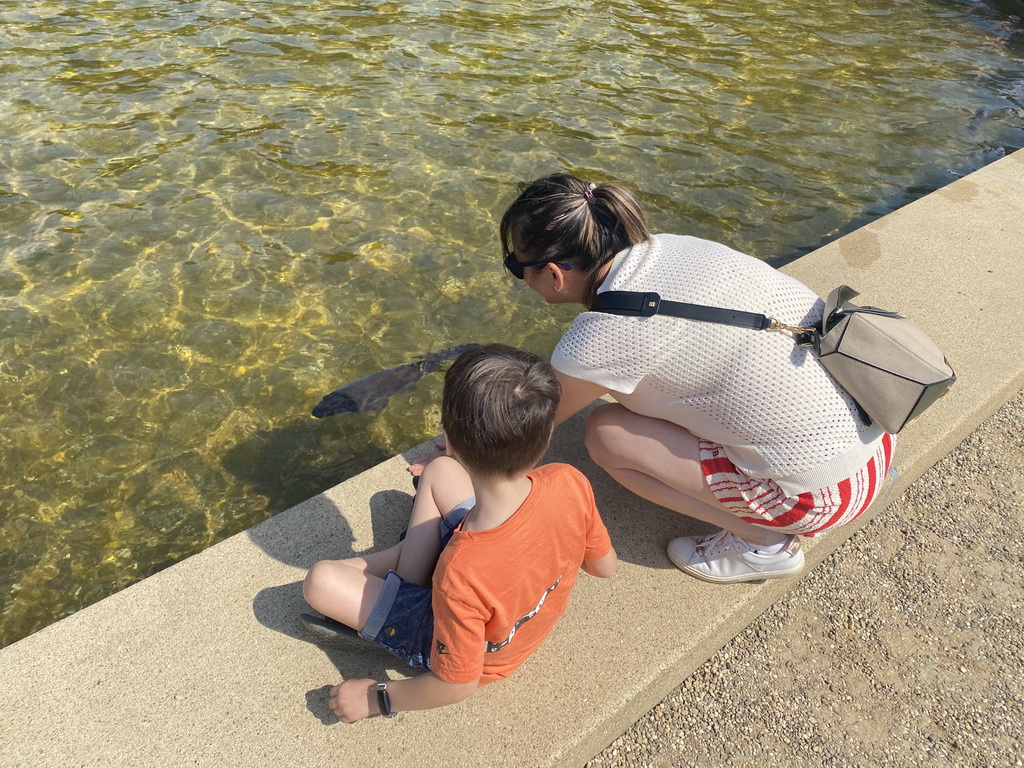 Miaomiao and Max with a Carp in the pond with the fountain at the north side of the Palace Garden of Het Loo Palace