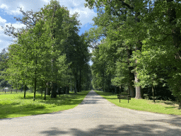 Path at the west side of the Palace Garden of Het Loo Palace