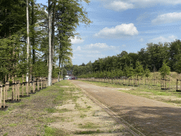 Path at the south side of Het Loo Palace