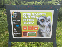 Information on the Apenheul zoo at the Stadspark Berg & Bos
