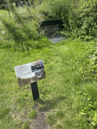 Bat cave at the Stadspark Berg & Bos, with explanation