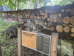 Insect wall at the Apenheul zoo, with explanation