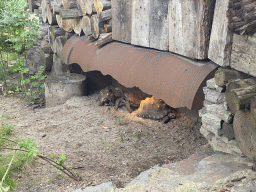 Tortoises at the Apenheul zoo