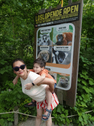 Miaomiao and Max with explanation on the Ring-tailed Lemur, Red-ruffed Lemur, Red-bellied Lemur, Black-and-white Ruffed Lemur, Crowned Sifaka and Lac Alaotra Bamboo Lemur at the Apenheul zoo