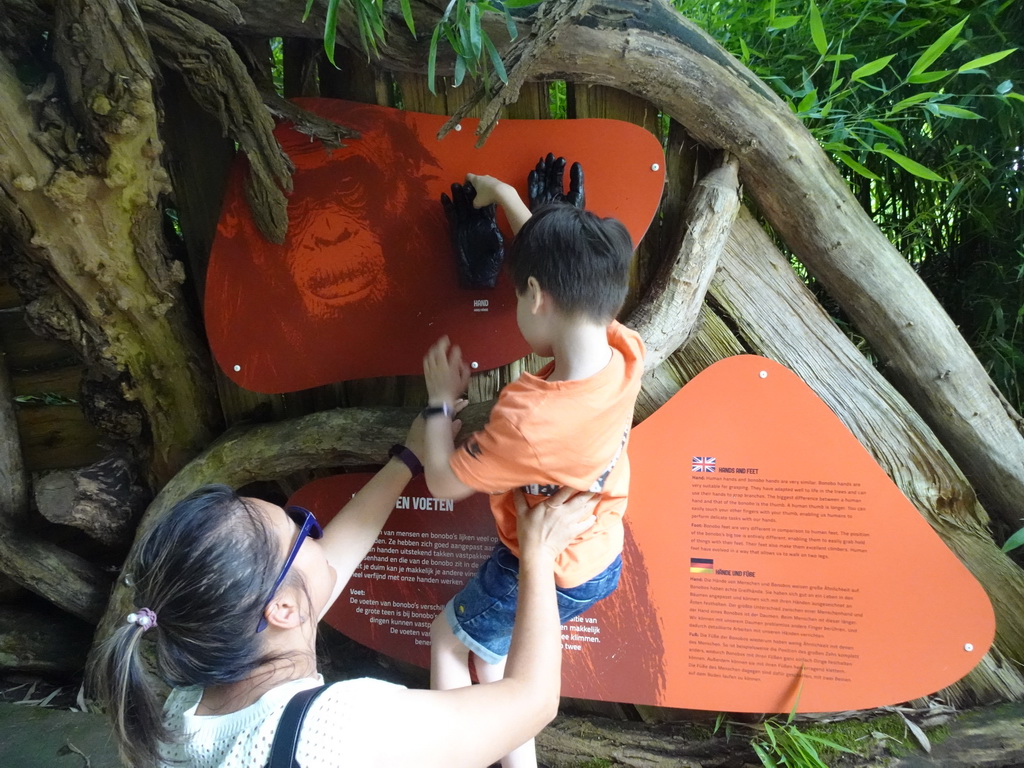 Miaomiao and Max with Bonobo hands at the Apenheul zoo