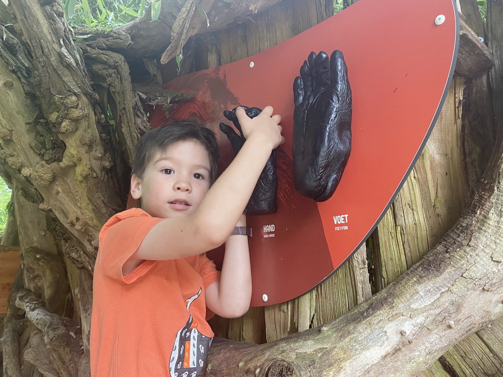 Max with Bonobo hands at the Apenheul zoo