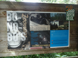 Information on the Bonobo at the Apenheul zoo