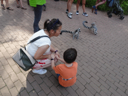 Miaomiao and Max with a Ring-tailed Lemur at the Apenheul zoo
