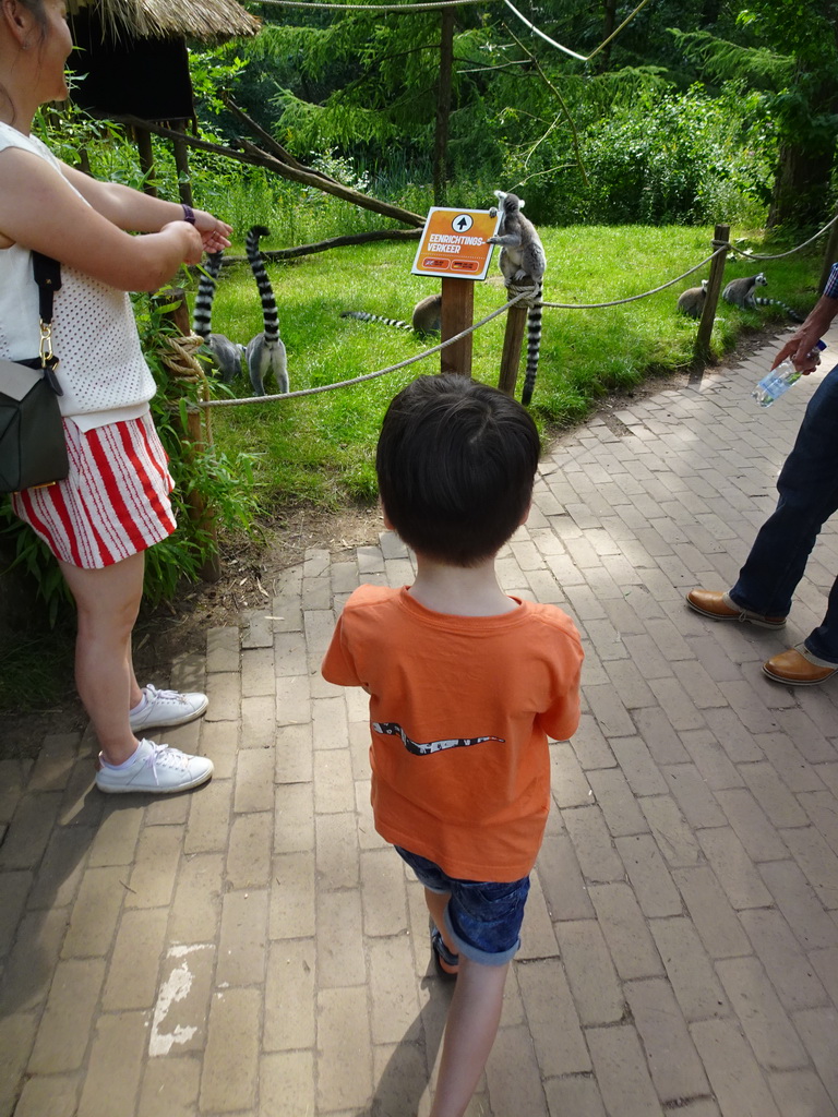 Miaomiao and Max with Ring-tailed Lemurs at the Apenheul zoo