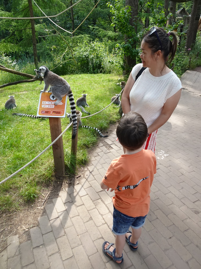 Miaomiao and Max with Ring-tailed Lemurs at the Apenheul zoo
