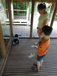 Miaomiao and Max with a Black-and-white Ruffed Lemur at the Apenheul zoo