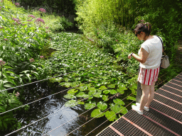 Miaomiao with Ducks at the Apenheul zoo