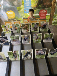 Max playing a game at the upper floor of the Huis van NAAAP playground at the Apenheul zoo