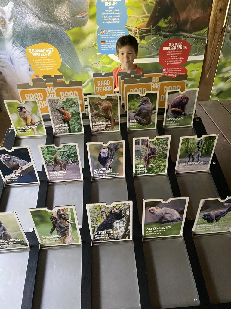 Max playing a game at the upper floor of the Huis van NAAAP playground at the Apenheul zoo