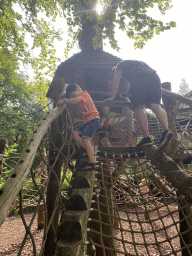 Max on a staircase at the Huis van NAAAP playground at the Apenheul zoo