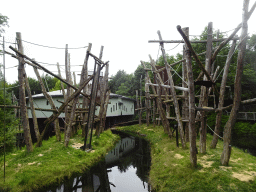 Orangutan building and enclosure at the Apenheul zoo