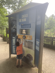 Max playing a game at the Gorilla World at the Apenheul zoo