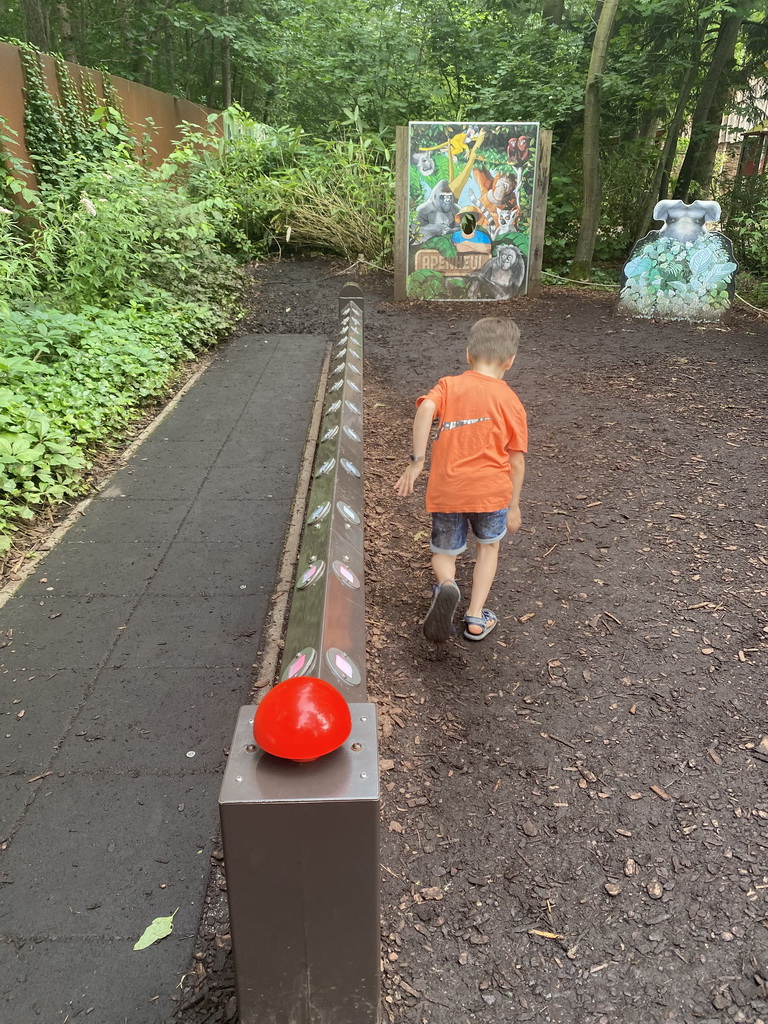 Max playing a running game at the Gorilla World at the Apenheul zoo