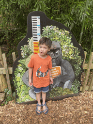 Max with a measuring tape at the Gorilla World at the Apenheul zoo