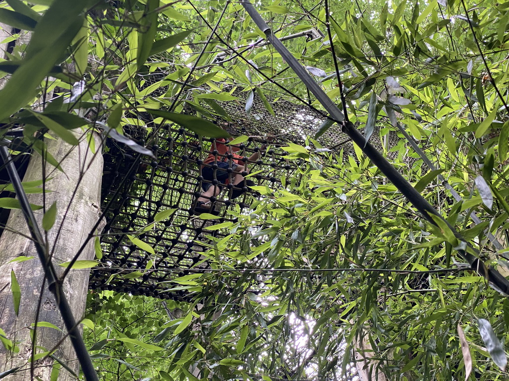 Max on a rope bridge at the Waaghals playground at the Apenheul zoo