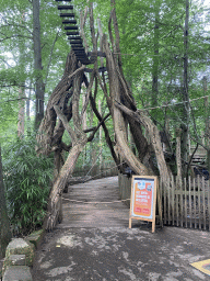 Monkey Tree Path at the Apenheul zoo