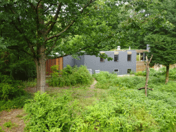 Building at the Apenheul zoo