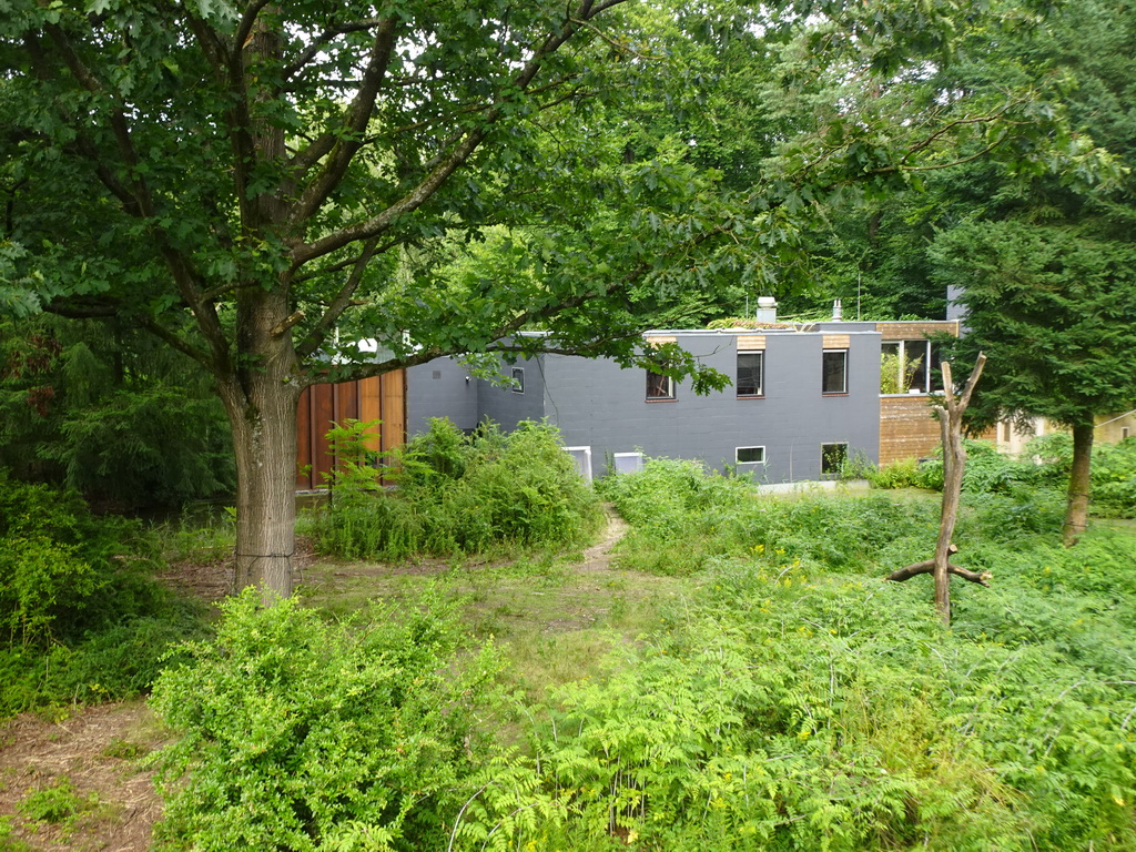 Building at the Apenheul zoo