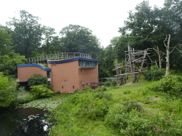 Building and enclosure at the Apenheul zoo