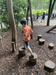 Max on stepping poles at the playground near the exit of the Apenheul zoo