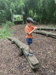Max on a wooden Crocodile at the playground near the exit of the Apenheul zoo