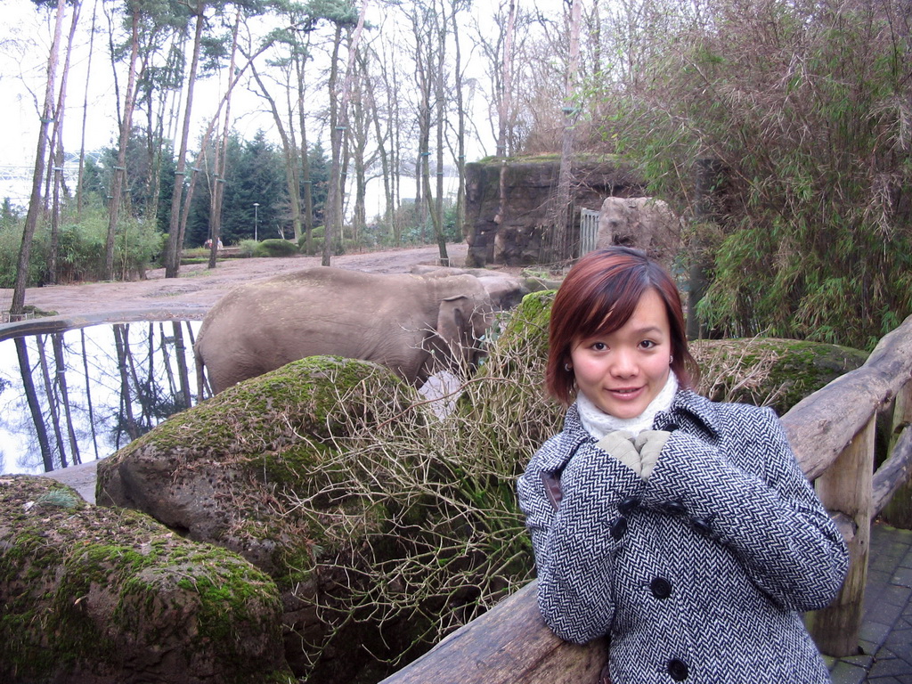 Miaomiao with Elephants at Burgers` Zoo