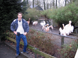 Tim with Flamingos at Burgers` Zoo