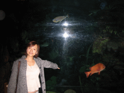 Miaomiao with fish and coral at Burgers` Ocean at Burgers` Zoo
