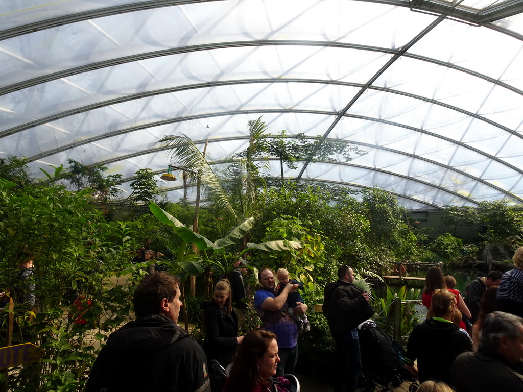 Interior of the Mangrove Hall of Burgers` Zoo