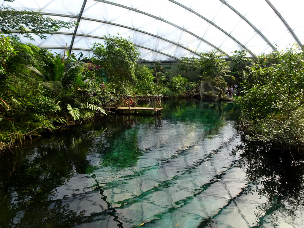 Pond at the Mangrove Hall of Burgers` Zoo