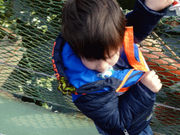 Max with a Butterfly on his jacket at the Mangrove Hall of Burgers` Zoo