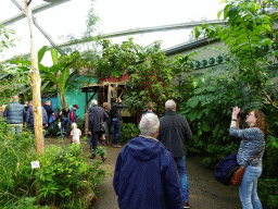 Interior of the Mangrove Hall of Burgers` Zoo