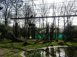 Birds at an Aviary at the Park Area of Burgers` Zoo