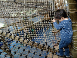 Max at the Kids Jungle playground at the Park Area of Burgers` Zoo