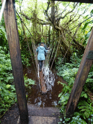 Rope Bridge at the Bush Hall of Burgers` Zoo