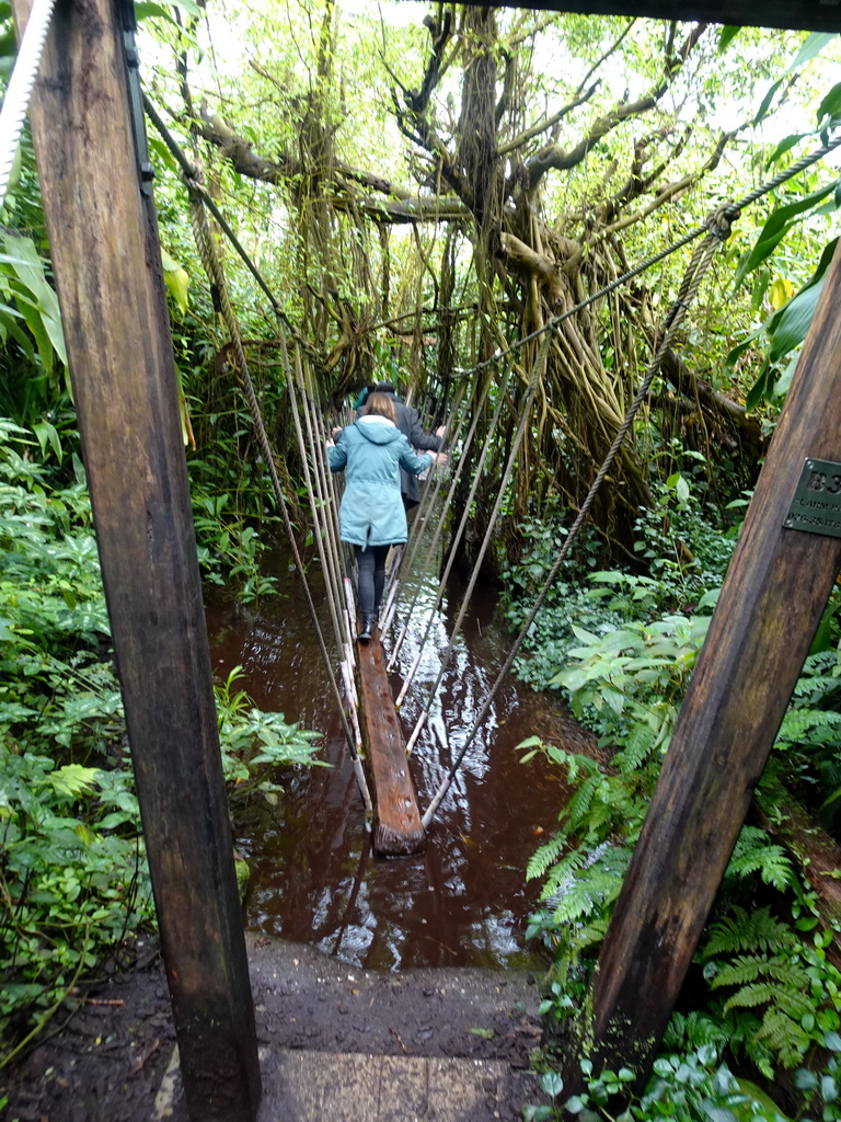 Rope Bridge at the Bush Hall of Burgers` Zoo