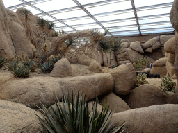 Interior of the Desert Hall of Burgers` Zoo